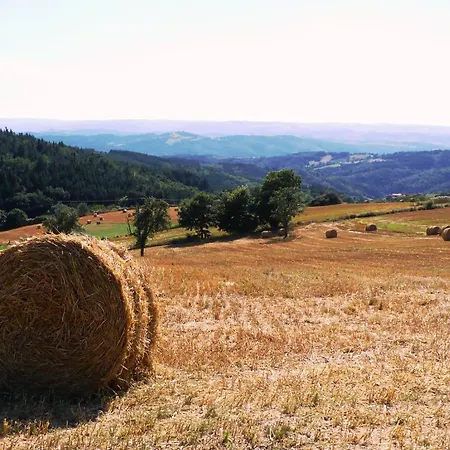 Bed and breakfast Le Grand Trianon Saint-Didier-sur-Doulon