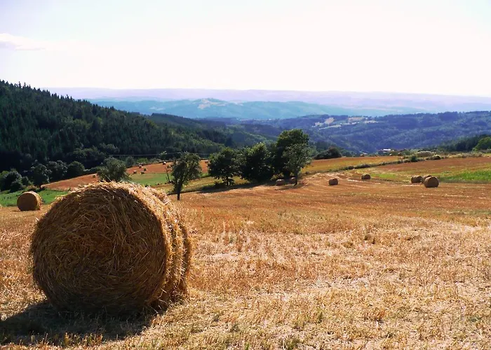 Frühstückspension Le Grand Trianon Saint-Didier-sur-Doulon
